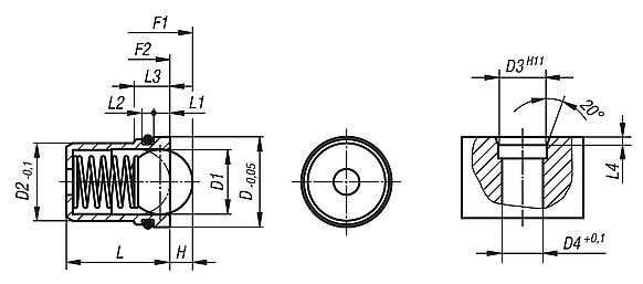 Spring plungers with detent ring