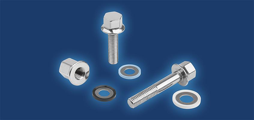 EHEDG recertification of the Hygienic USIT® screw and seal system